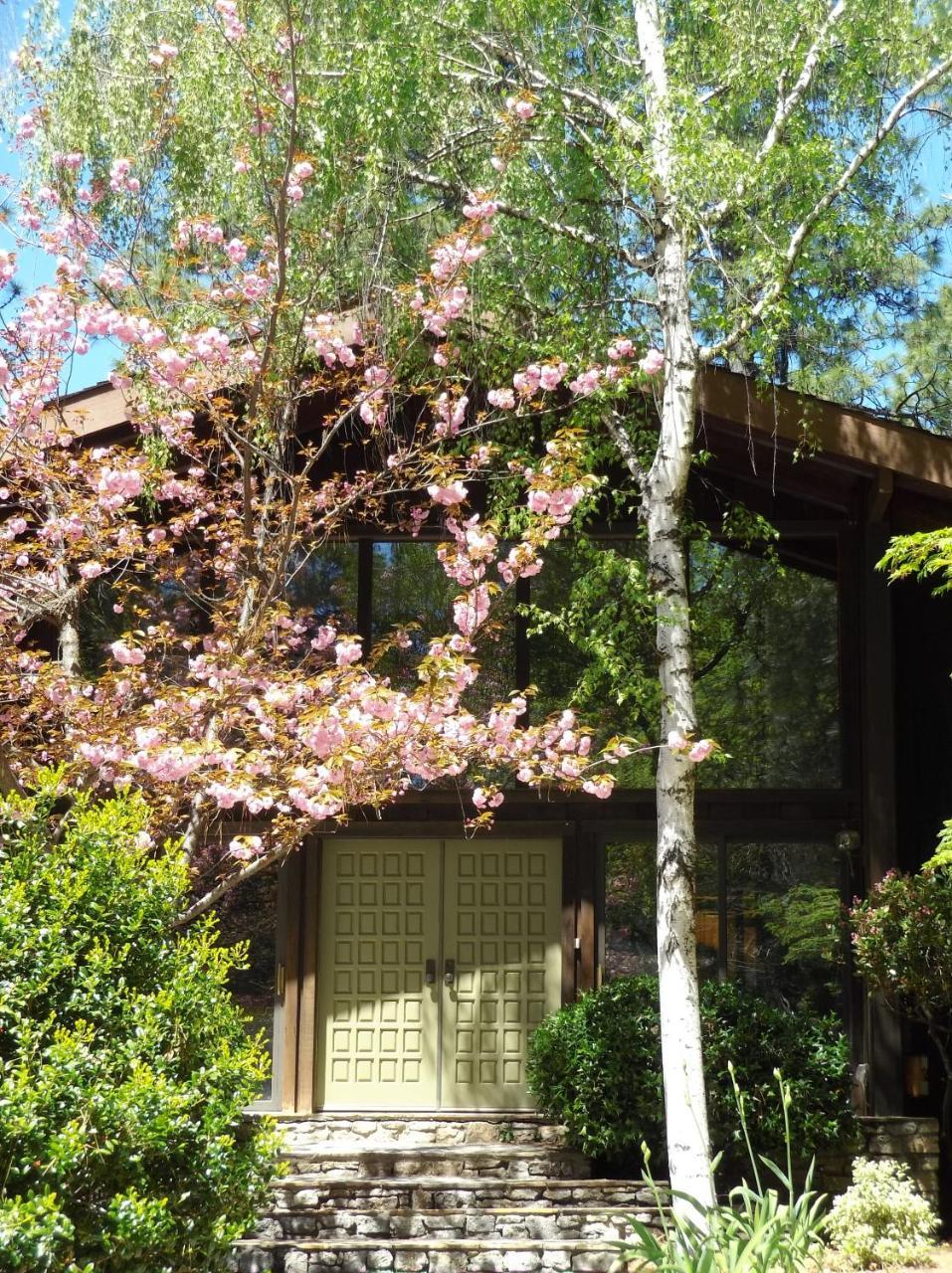 Ponderosa Ridge A B & B Placerville Exterior photo